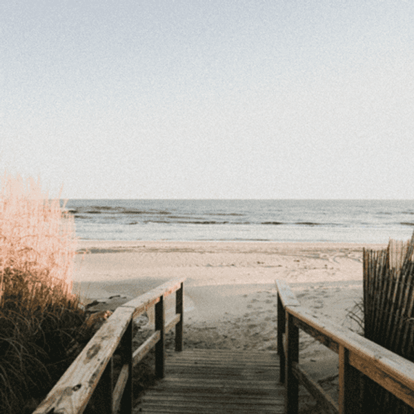 To The Beach I Grew Up With, Thank You