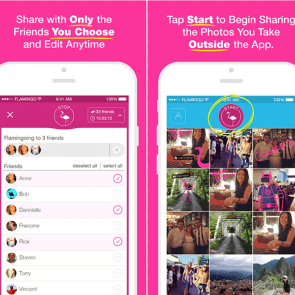 Flamingo: The App