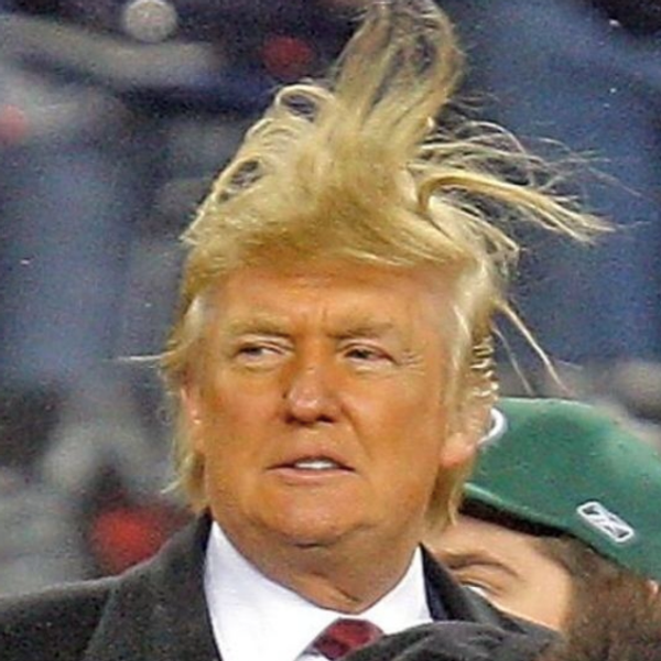 25 Brutally Hilarious Examples Of The Internet Trolling Trump