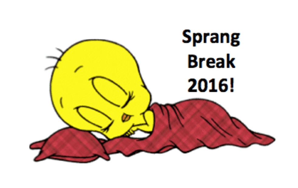 What I Did Over Spring Break