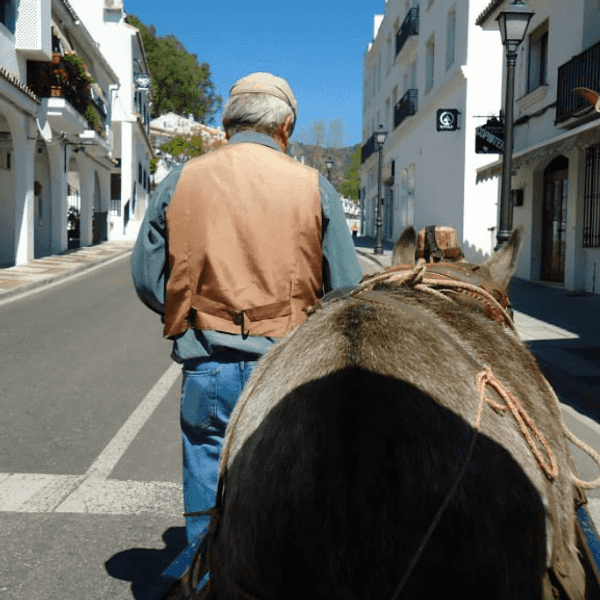 Why I Travel