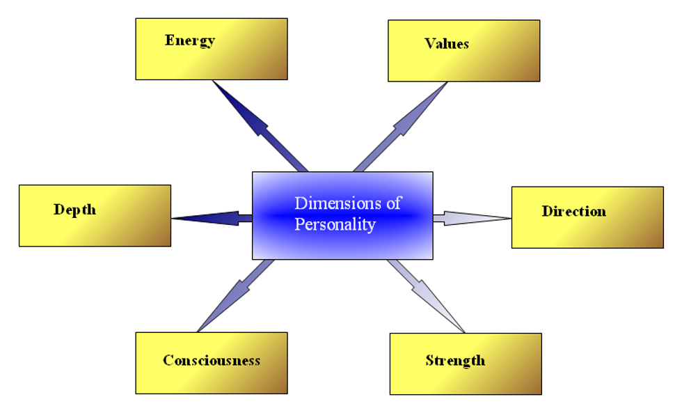 The Leadership Assesment - DiSC Classic