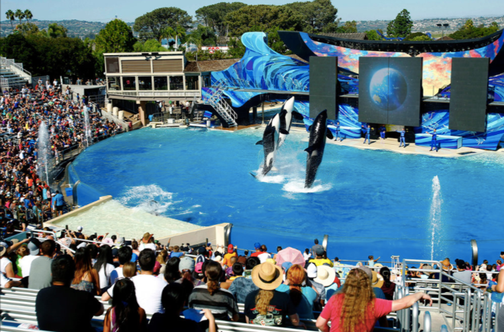 Will SeaWorld Wash Out?