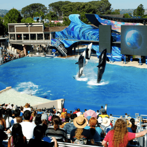 Will SeaWorld Wash Out?