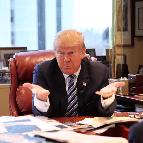 Donald Trump Totally Knows What He's Doing