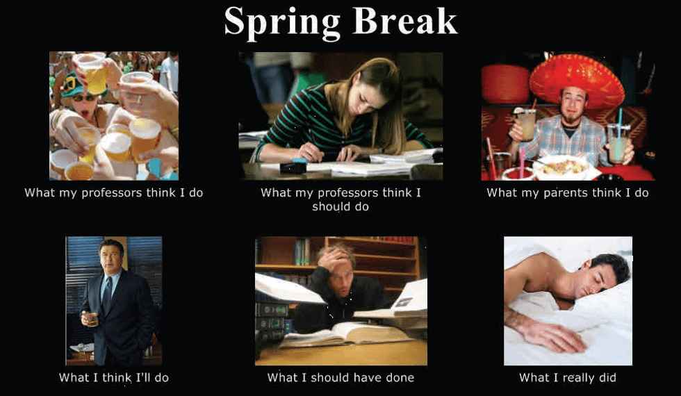 A Survival Guide for Celebrating Spring Break on Campus