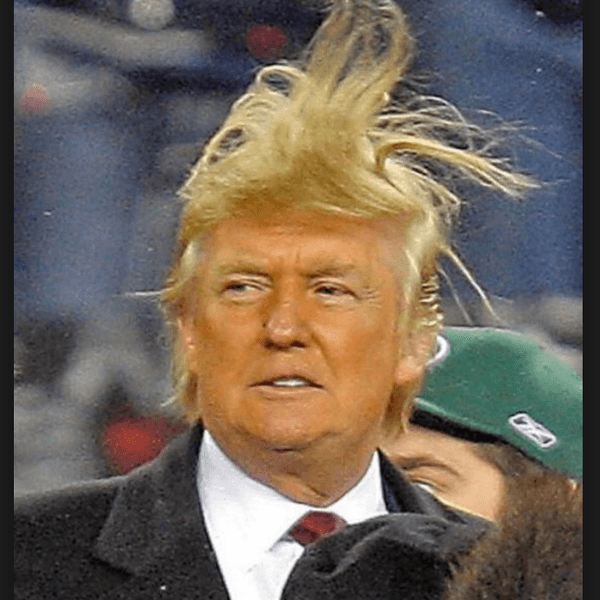 5 Things Donald Trump Did Or Said That Were So Dumb They Were Almost Funny