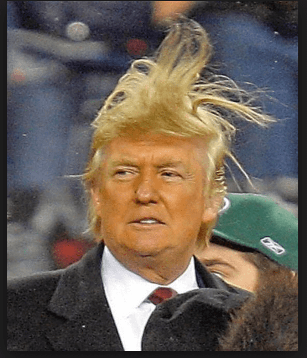 5 Things Donald Trump Did Or Said That Were So Dumb They Were Almost Funny