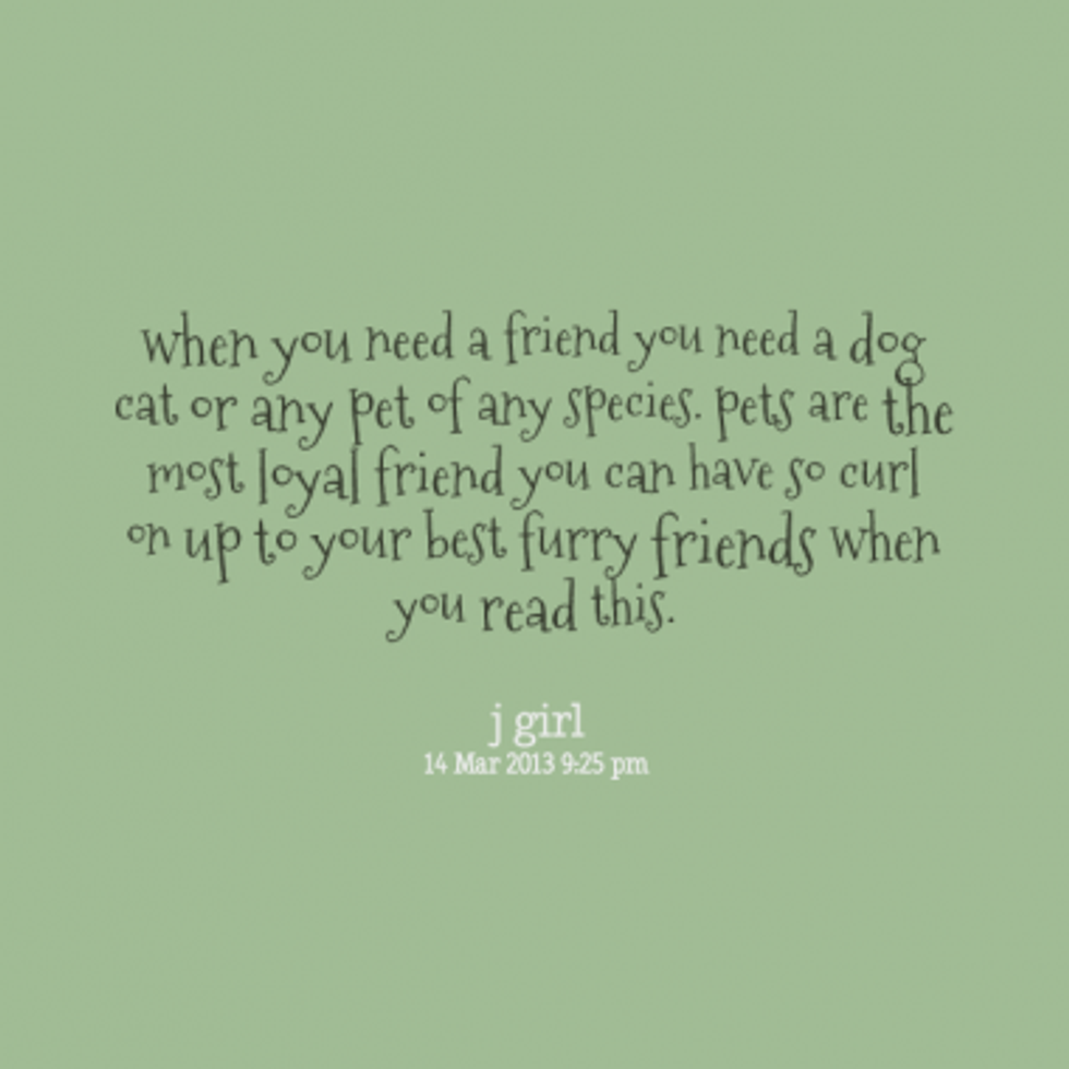 When College Students Have To Leave Their Pets