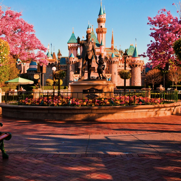 The 12 Stages Of Disneyland Withdrawal