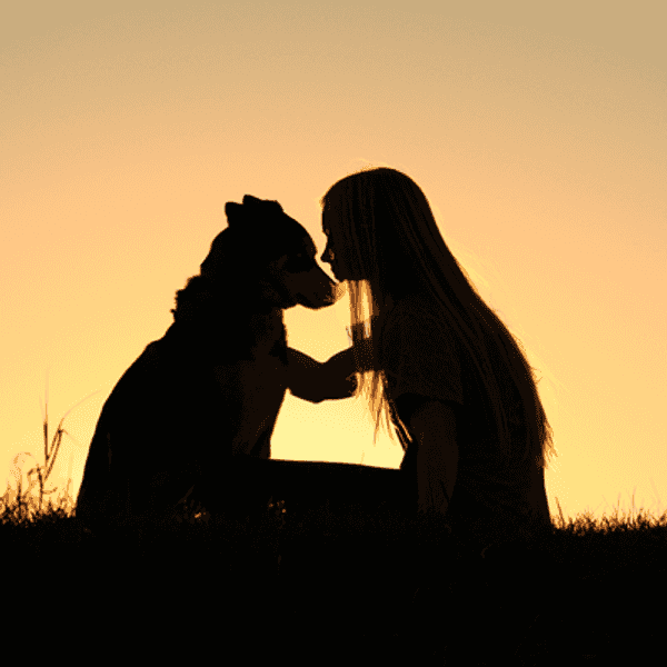 An Open Letter To My Childhood Dog