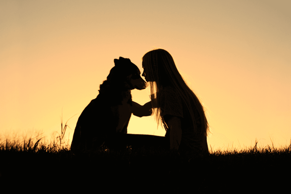 An Open Letter To My Childhood Dog