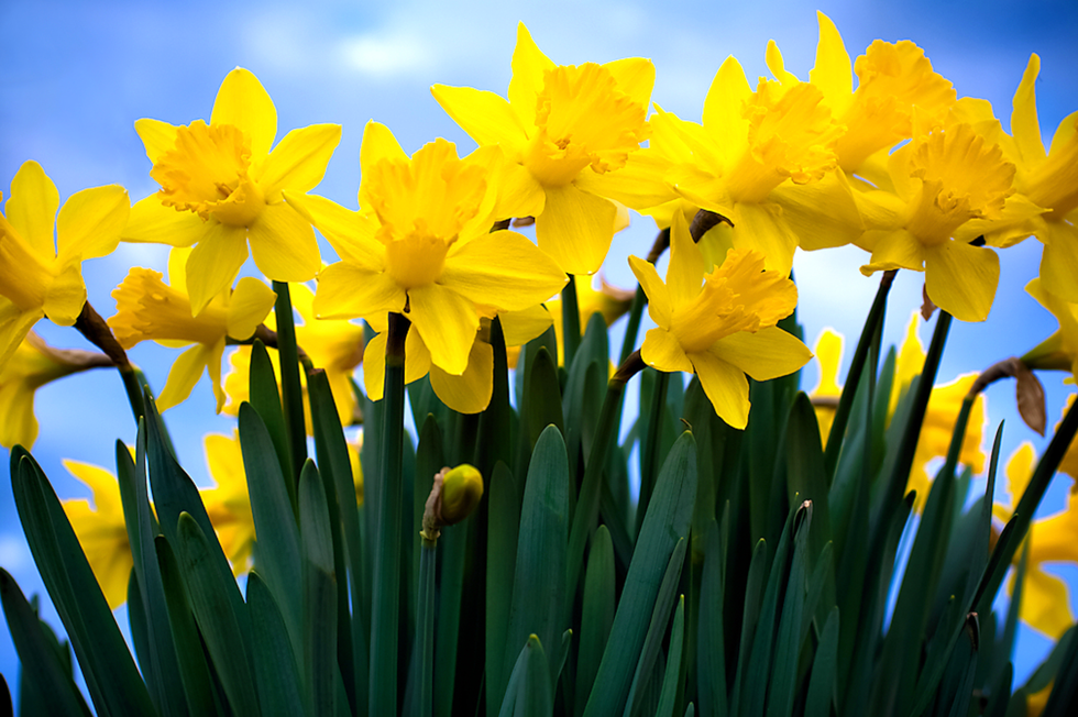 The Happiness Of Warm Weather