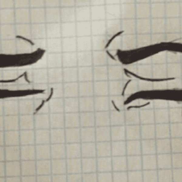 50 Internal Thoughts An English Major Has While Taking A Math Class