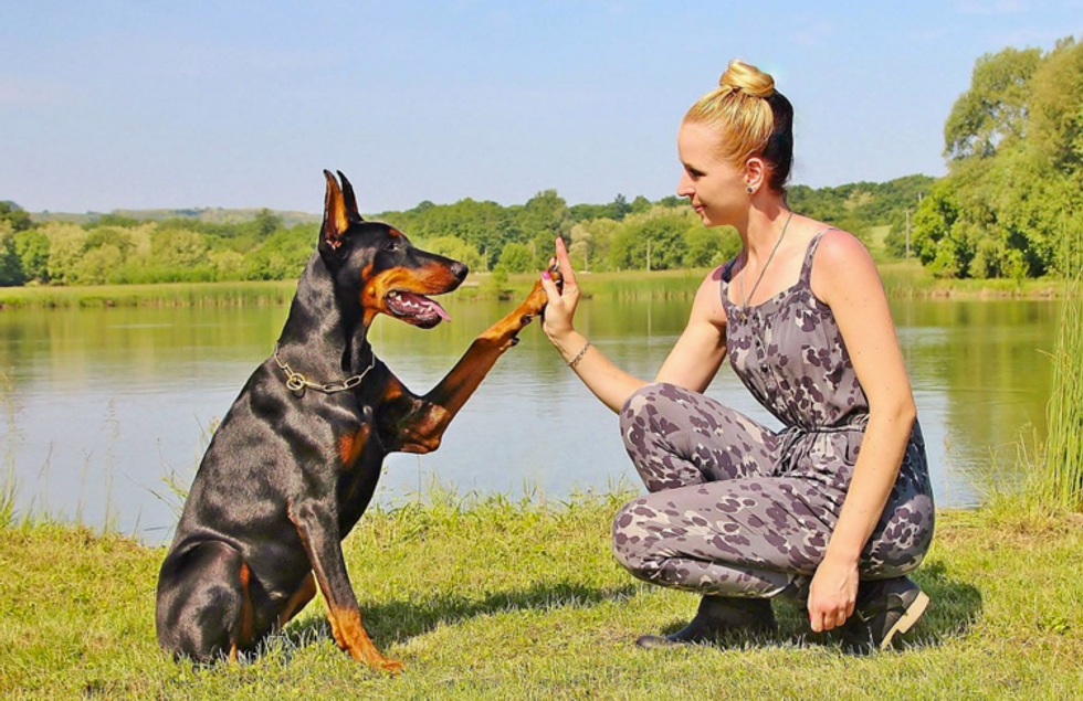 7 Reasons Why You Should Become A Dog Parent In Your Early 20s