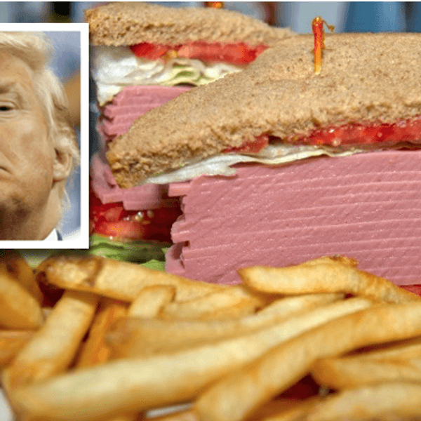 8 Reasons Why A Half-Eaten Sandwich Would Make A Better President Than Donald Trump