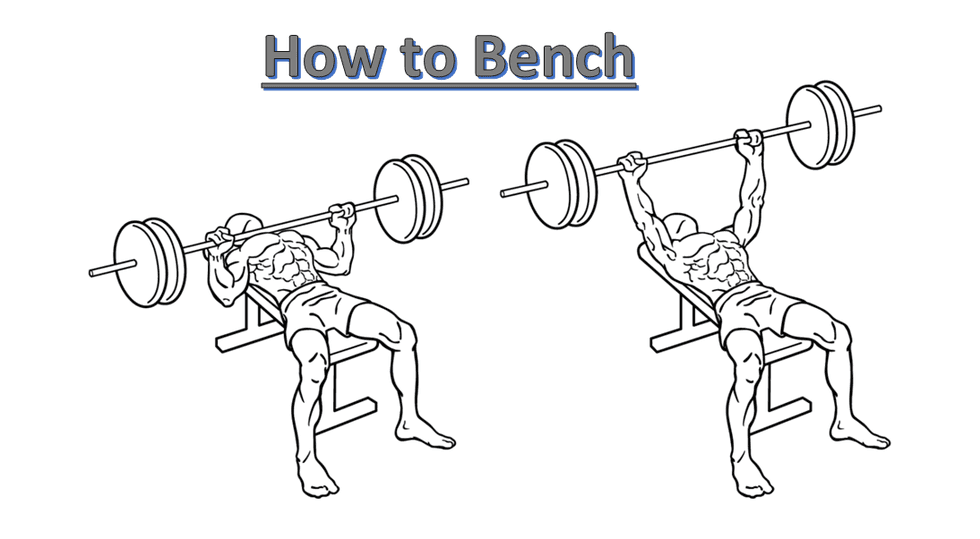 Revisiting Fundamentals: How to Bench | The Odyssey Online