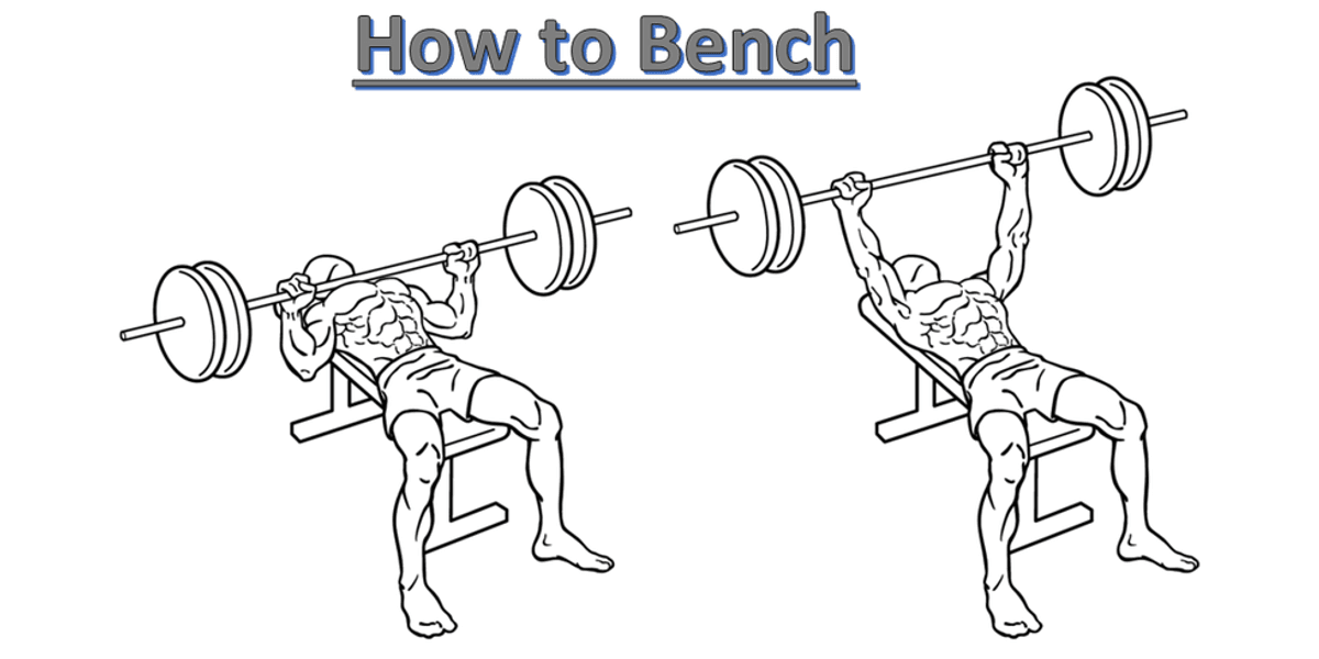 Getting Bench Revisiting Fundamentals: How to Bench | The Odyssey Online