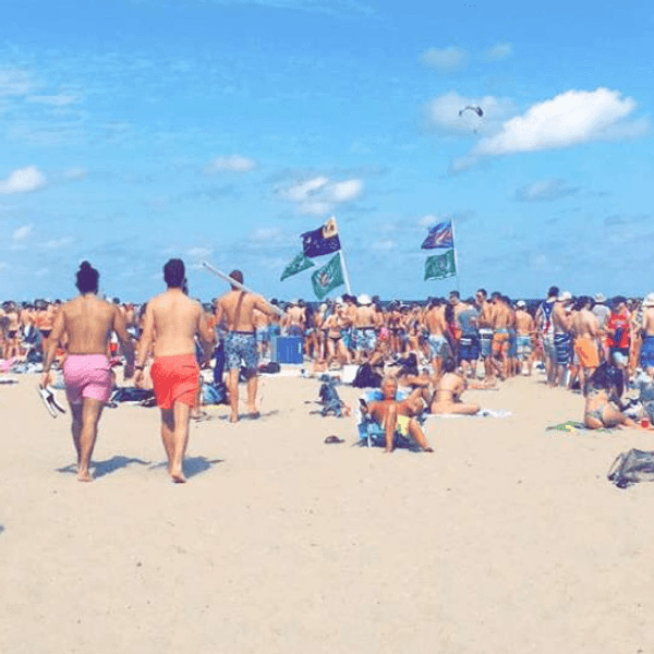 Spring Break: Expectations Vs. Reality
