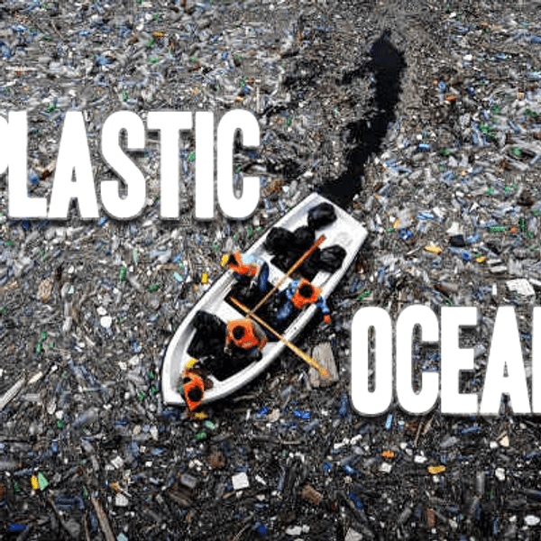 The Great Pacific Garbage Patch