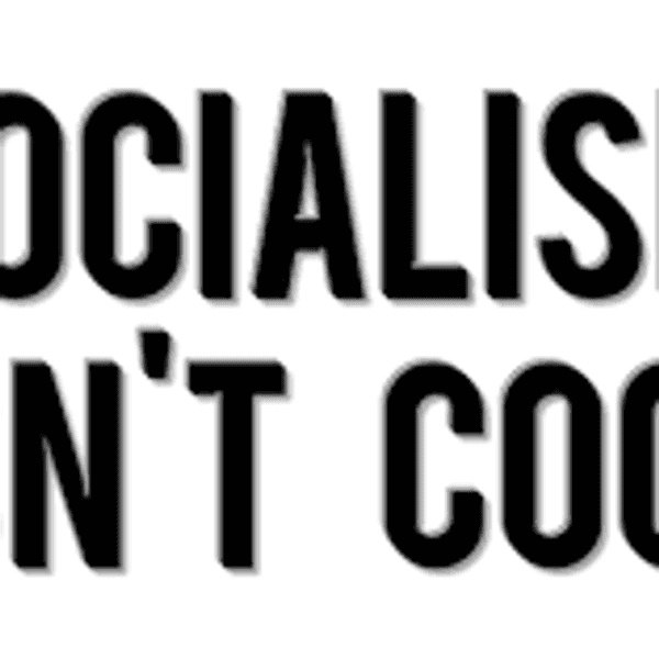 If Bernie Sanders Wins, I'm Changing My Major