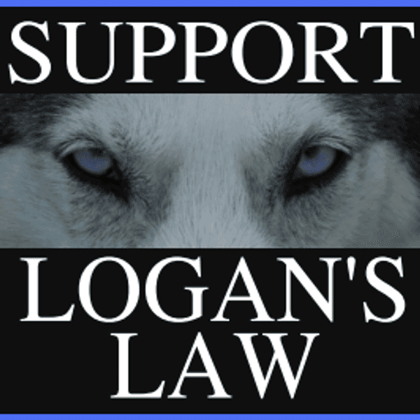 Why Michigan Needs Logan's Law
