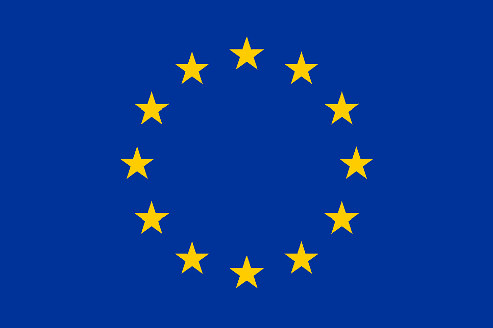 The EU—A Tale Of Two Democracies