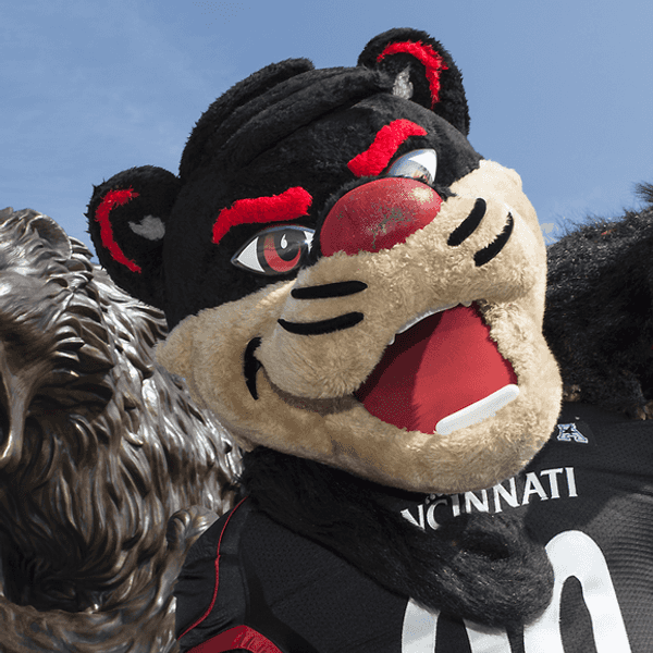 You're Not A Bearcat If...