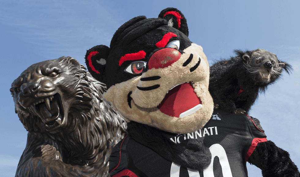 You're Not A Bearcat If...