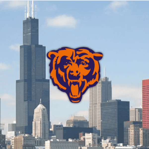 5 Reasons Why Chicago Sports Fans are the Best