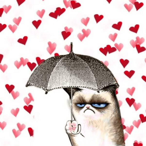 6 Alternative Valentine's Day Plans