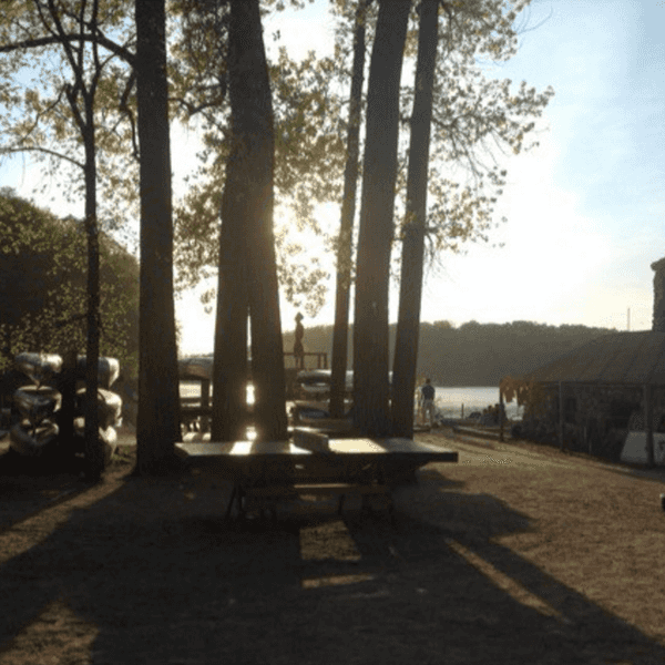 What Summer Camp Taught Me