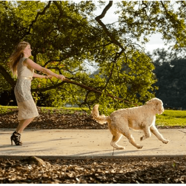 10 Ways You Know You Are A Dog Mom