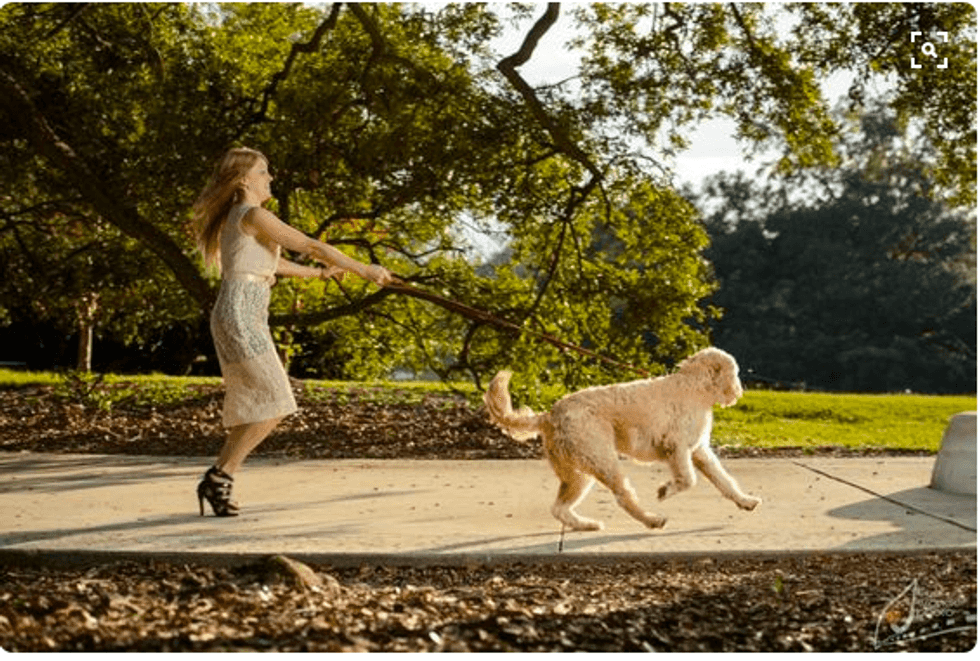 10 Ways You Know You Are A Dog Mom