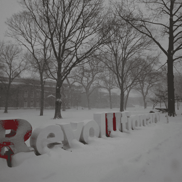 Storm Jonas Aftermath: The Ultimate RU Screw