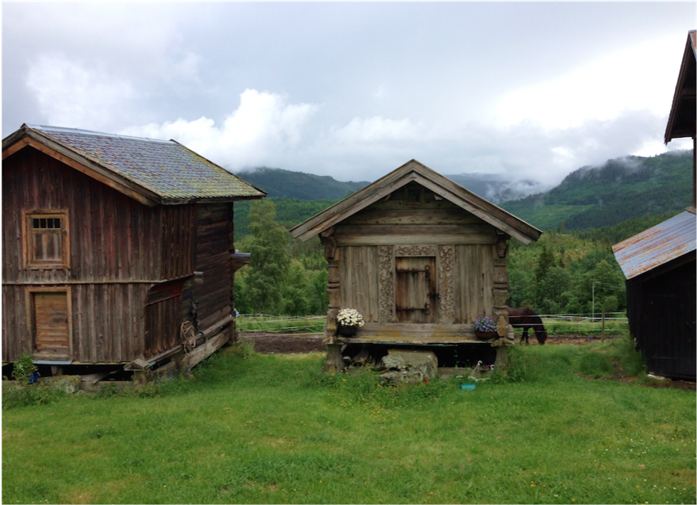 5 Things You Should Know About WWOOFing