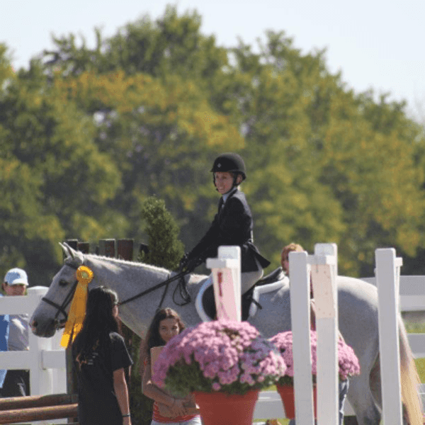 What It's Like To Be An Equestrian