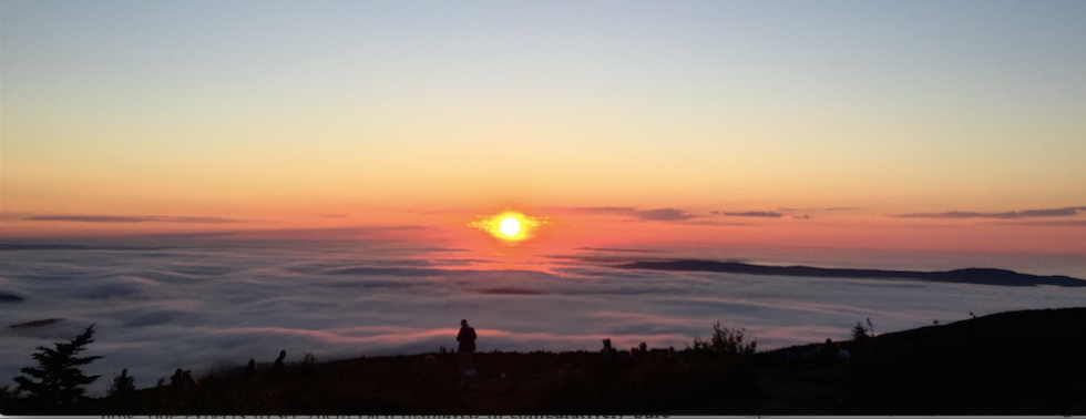 A Collection Of Thank You Notes