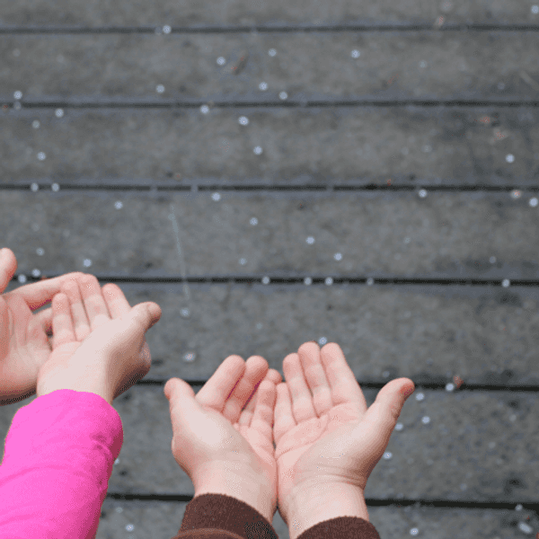 11 Things Southerners Know To Be True When it Snows