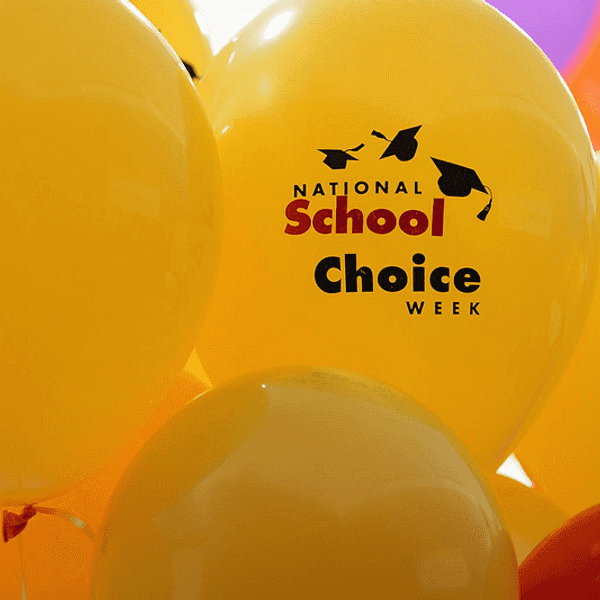 Using School Choice: A Way To Address Public School Inadequacies