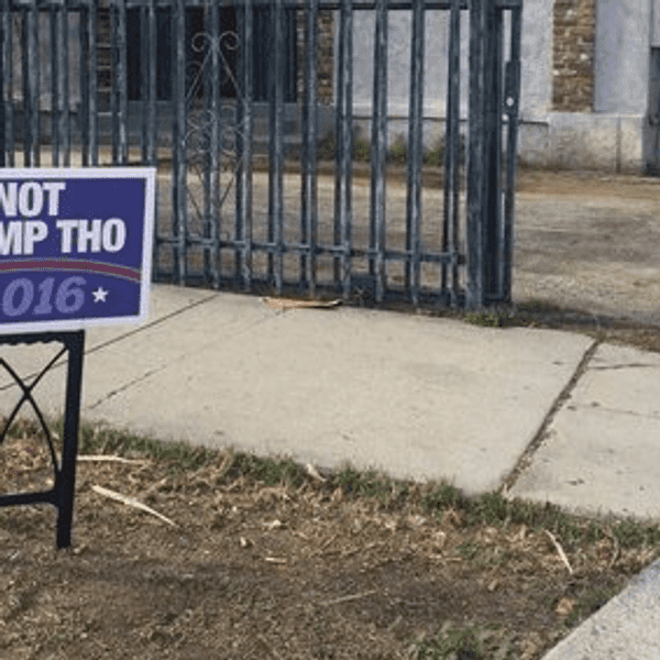 Why Is Donald Trump Leading In The Polls?