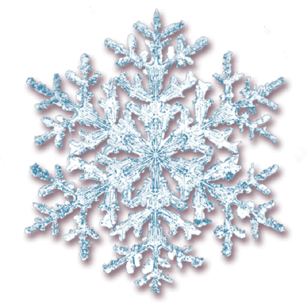 15 Things That Happen When The Temperature Is Below Five Degrees