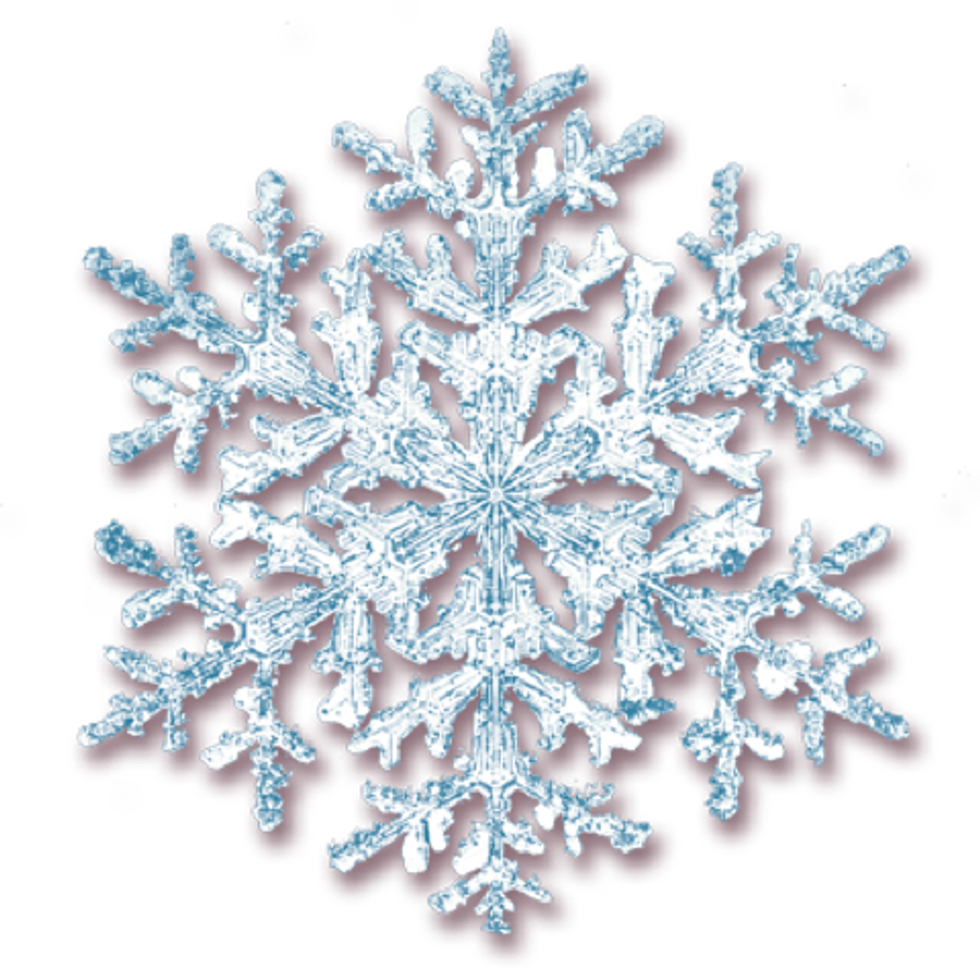 15 Things That Happen When The Temperature Is Below Five Degrees