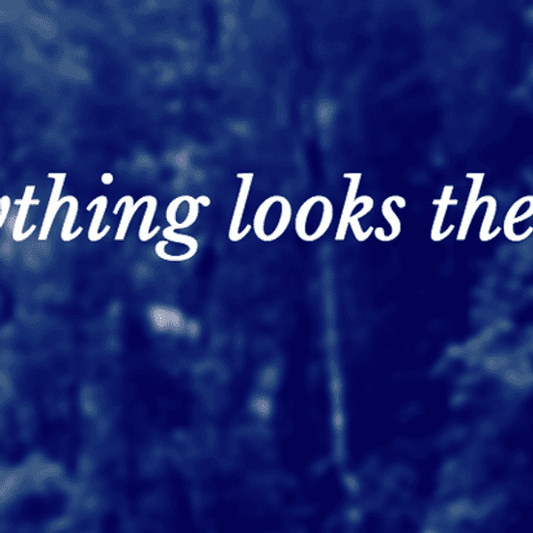 5 Ways To Improve Your Social Media Experience