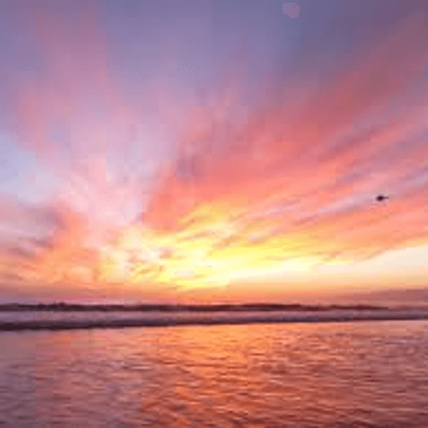 10 Reasons Why The Early Shift Rules