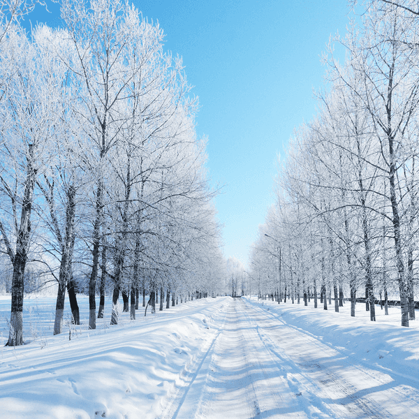 Why Winter Is The Best