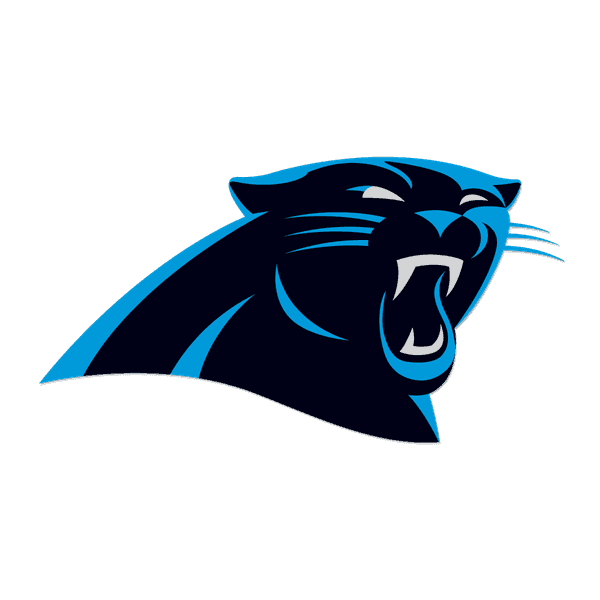 8 Things Every Panthers Fan Wants To Thank Their Team For