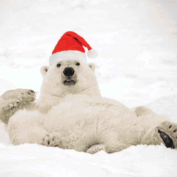 18 Thoughts You Have On Winter Break