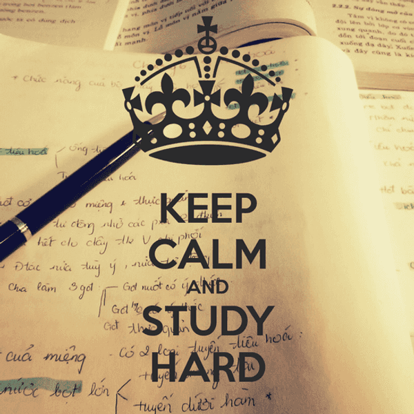 Your Go-To Studying Soundtrack