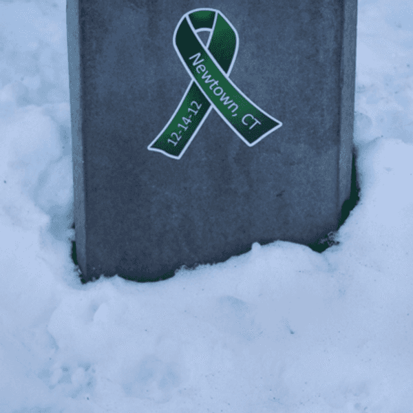 3 Years Later: Sandy Hook Tradgey